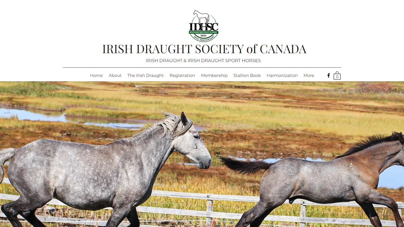 Home | IRISH DRAUGHT SOCIETY of CANADA